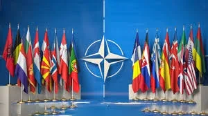 Incidentul din județul Tulcea. NATO anunță că monitorizează îndeaproape situația