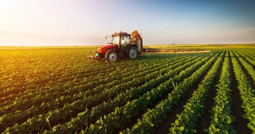 Ministrul Agriculturii anunță că România va propune modificarea regulilor UE privitoare la rotația culturilor și la terenul lăsat pârloagă