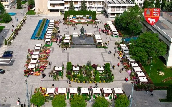 Centrul Vasluiului transformat într-o adevărată Grădină Botanică
