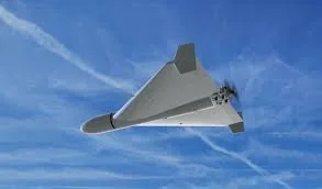 MApN: Au fost identificate resturi de la o dronă rusească în apropierea localităţii Plauru, din judeţul Tulcea