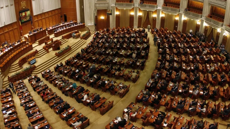 Parlamentarii o cheamă la explicații pe președinta ANAF