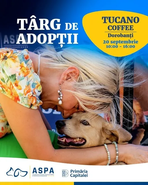 Adoptă un cățel ASPA și vei fi mai fericit!
