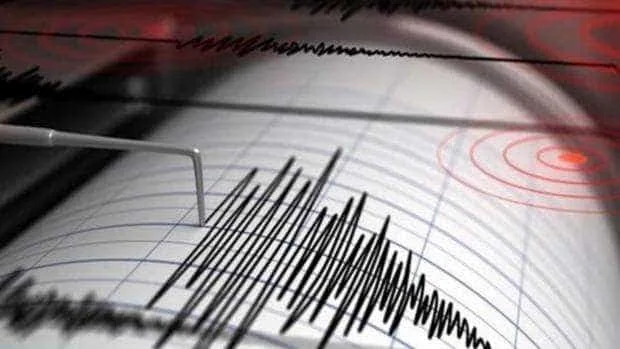 Seism în estul țării: Cutremur de magnitudine 4,4 în zona Vrancea