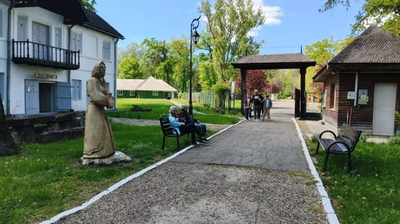 Crângul Petrești, loc de relaxare și respiro pentru vrânceni