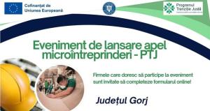Sprijin concret pentru antreprenoriatul local în Gorj!