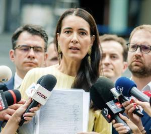 Armand a solicitat Biroului Electoral Central să anuleze alegerile locale din Sectorul 1