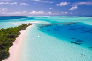 Copie a Early tourists choices to the sea of Maldives in fancy dresses and suits