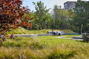 Păduri urbane &icirc;n Municipiul Alba Iulia