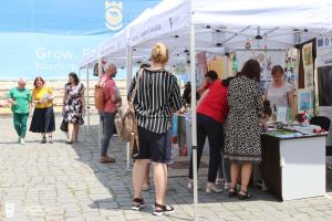 T&acirc;rgul Forței de muncă din Domeniul Social, la UAB