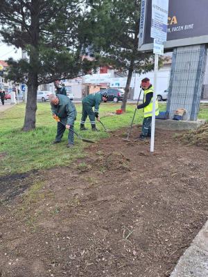 Reamenajarea spațiilor verzi din Pitești