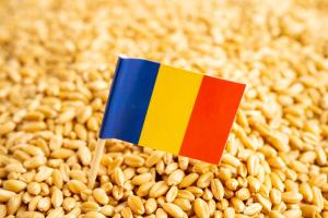 Exporturi record pentru agricultura românească: aproape 500 de milioane de euro din animale vii în 2025