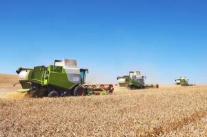 Vești bune pentru fermieri. Au fost deblocate plățile ajutoarelor pentru sectorul vegetal