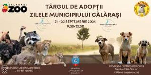 T&acirc;rg de adopții canine &icirc;n Zilele Municipiului Călărași