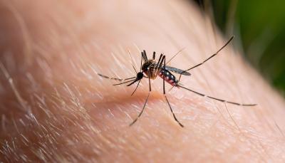 Avertisment de la MAE, după creșterea numărului de cazuri de &rdquo;malarie de import&rdquo;