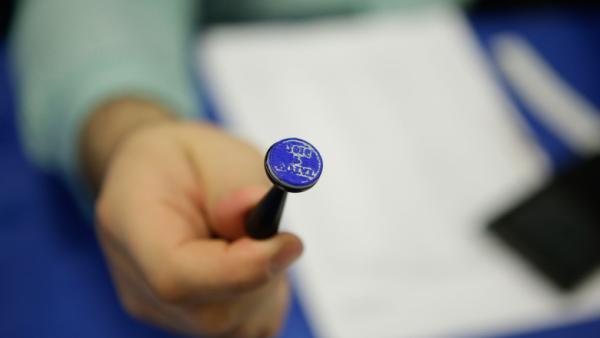 AEP: Operatorii de calculator ai birourilor electorale ale secțiilor de votare, desemnați prin tragere la sorți
