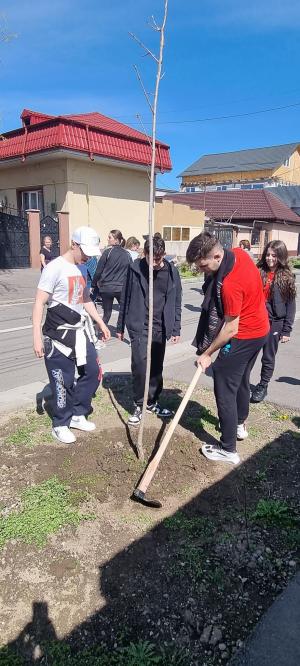 PRIMĂVARA - PLANTĂM POMI!