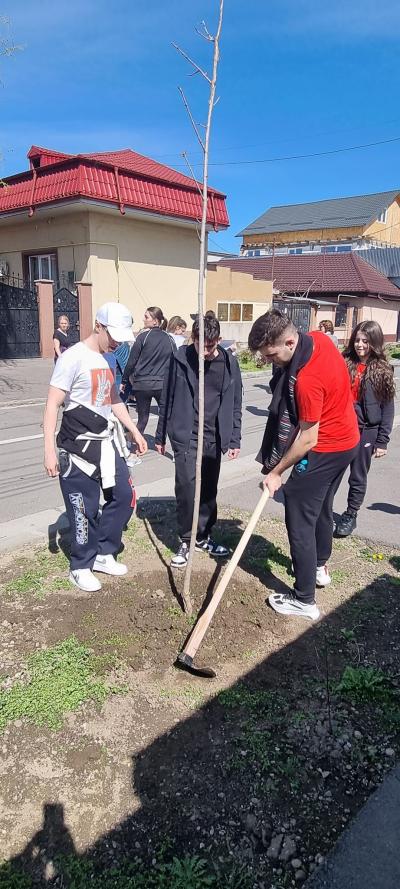 PRIMĂVARA - PLANTĂM POMI!