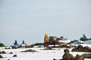 Ecologizarea fostei gropi de gunoi a municipiului Satu Mare