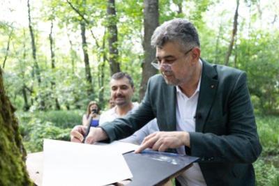Marcel Ciolacu a vizitat Pădurea Balotești pentru a sprijini inițiativa “Împreună pentru Centura Verde”