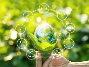 Guvernul a aprobat dezvoltarea rețelei de școli verzi