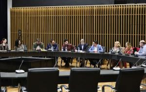 Construirea unui Centru Școlar copiii cu CES din Timișoara