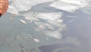 Situație de urgență pe Dunăre: Posibilă contaminare cu ulei și carburanți după scufundarea unui &icirc;mpingător la Giurgiu