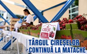 T&acirc;rgul Cireșelor și al Căpșunelor din Piața Matache