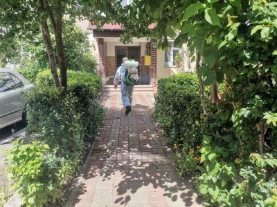 Dezinsecție la Piatra-Neamț, &icirc;n septembrie