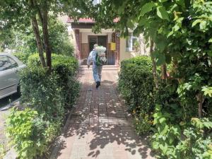 Dezinsecție la Piatra-Neamț, &icirc;n septembrie