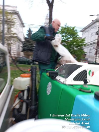 Primăria Arad continuă acțiunile de dezinsecţie!