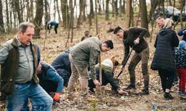 "1.000 de arbori pentru 1.000 de ani" &icirc;n Şimleu Silvaniei