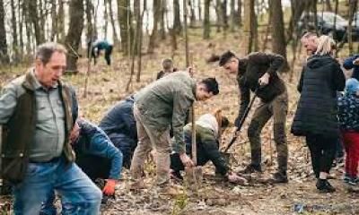 &quot;1.000 de arbori pentru 1.000 de ani&quot; în Şimleu Silvaniei