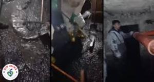 Igienizare și salubrizare a unor subsoluri în Sectorul 5