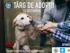 Târg de Adopții de căței pe esplanada Casei de Cultură Suceava