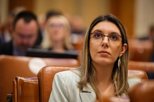 Ministra Mediului propune un standard minimal &icirc;n contractul de mandat pentru viitorul director general interimar al Romsilva