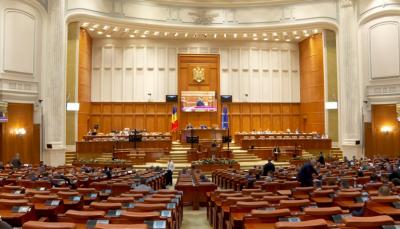O comisie specială din Parlament va ancheta cazurile de violență din Rom&acirc;nia