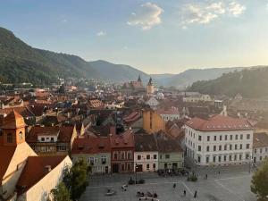 ALPIN FILM FESTIVAL – 10 ani de povești și aventuri montane la Brașov!