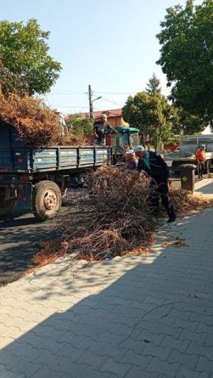 Activitățile de &icirc;ntreținere continuă &icirc;n municipiul Giurgiu