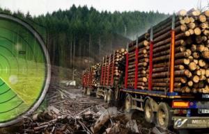 Radarul Pădurilor a devenit funcţional