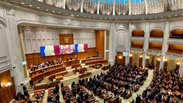 Declarație parlamentară: Rom&acirc;nia se angajează să combată violența domestică