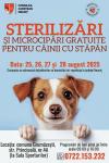 Campanie de sterilizare gratuită c&acirc;inilor &icirc;n Neamț