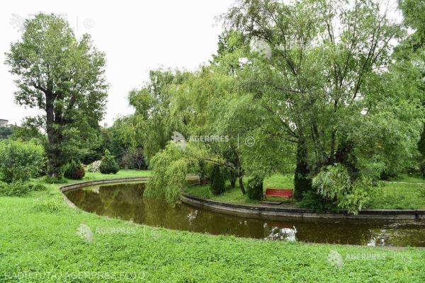 Cinci proiecte de mediu și biodiversitate urbană &icirc;n valoare de1,5 milioane de lei