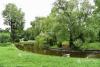 Cinci proiecte de mediu și biodiversitate urbană &icirc;n valoare de1,5 milioane de lei