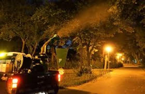 Campania „Ilfov fără țânțari” continuă