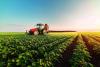 Guvernul oferă 250 de milioane de euro cultivatorilor din sectorul vegetal pentru pierderile suferite din cauza războiului din Ucraina