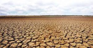 Efectele secetei în România. Barbu: pune în pericol viabilitatea economică a fermelor și interesele de securitate ale țării