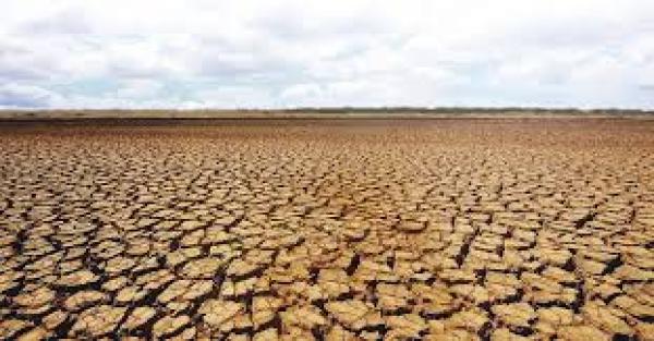 Efectele secetei &icirc;n Rom&acirc;nia. Barbu: pune &icirc;n pericol viabilitatea economică a fermelor și interesele de securitate ale țării