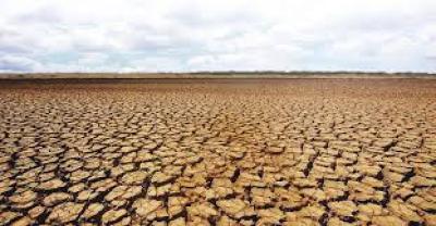 Efectele secetei &icirc;n Rom&acirc;nia. Barbu: pune &icirc;n pericol viabilitatea economică a fermelor și interesele de securitate ale țării