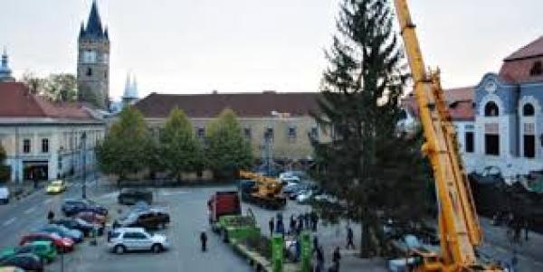 Centrul Baia Mare, blocat p&acirc;nă la &icirc;ndepărtarea bradului folosit la T&acirc;rgul de Crăciun