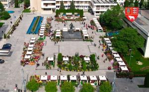 Centrul Vasluiului transformat într-o adevărată Grădină Botanică